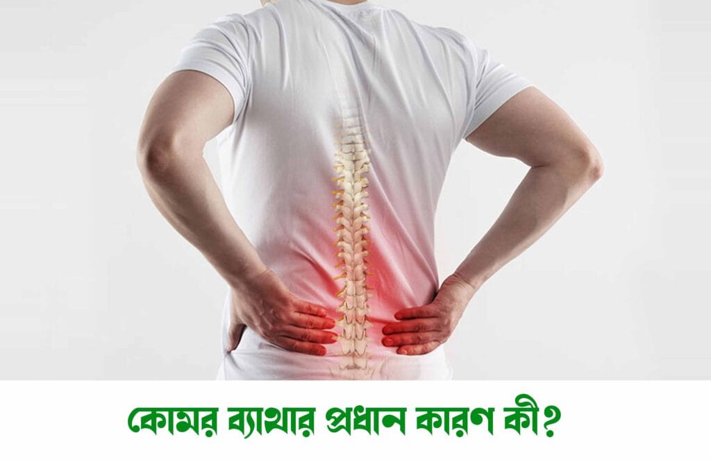 কোমর ব্যাথা সারানোর সহজ উপায়