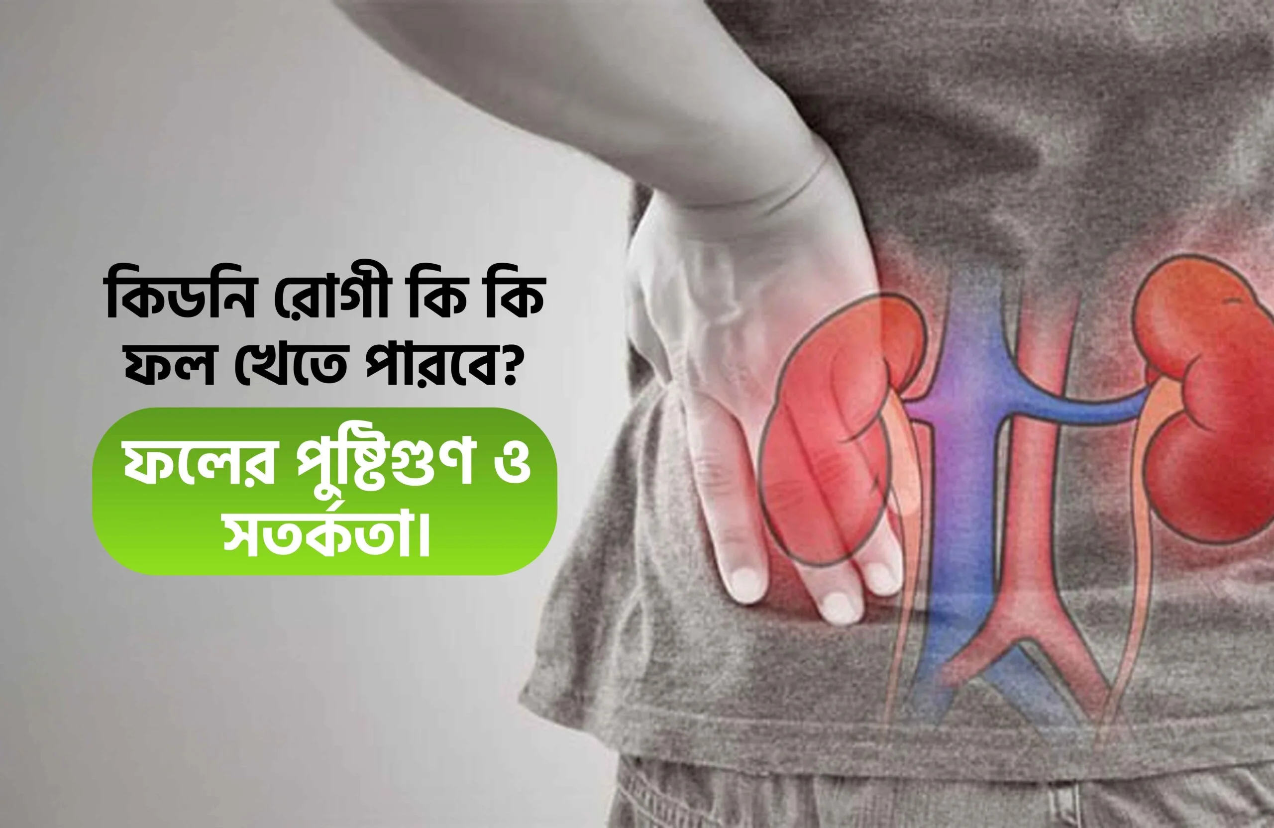 কিডনি রোগী কি কি ফল খেতে পারবে