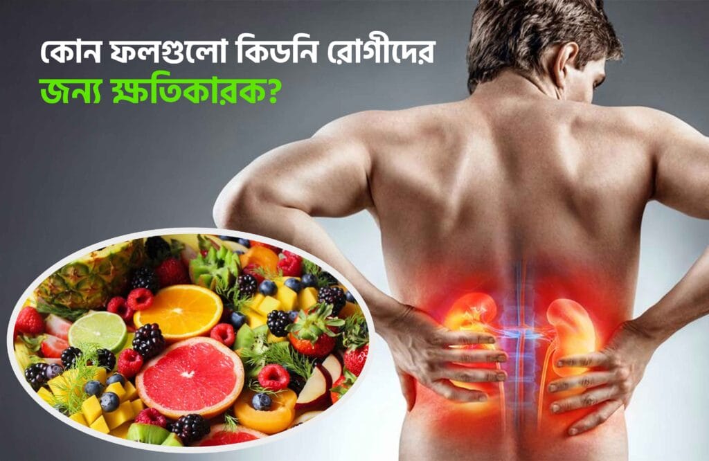 কিডনি রোগী কি কি ফল খেতে পারবে