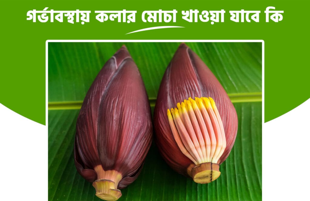 গর্ভাবস্থায় কলার মোচা খাওয়া যাবে কি