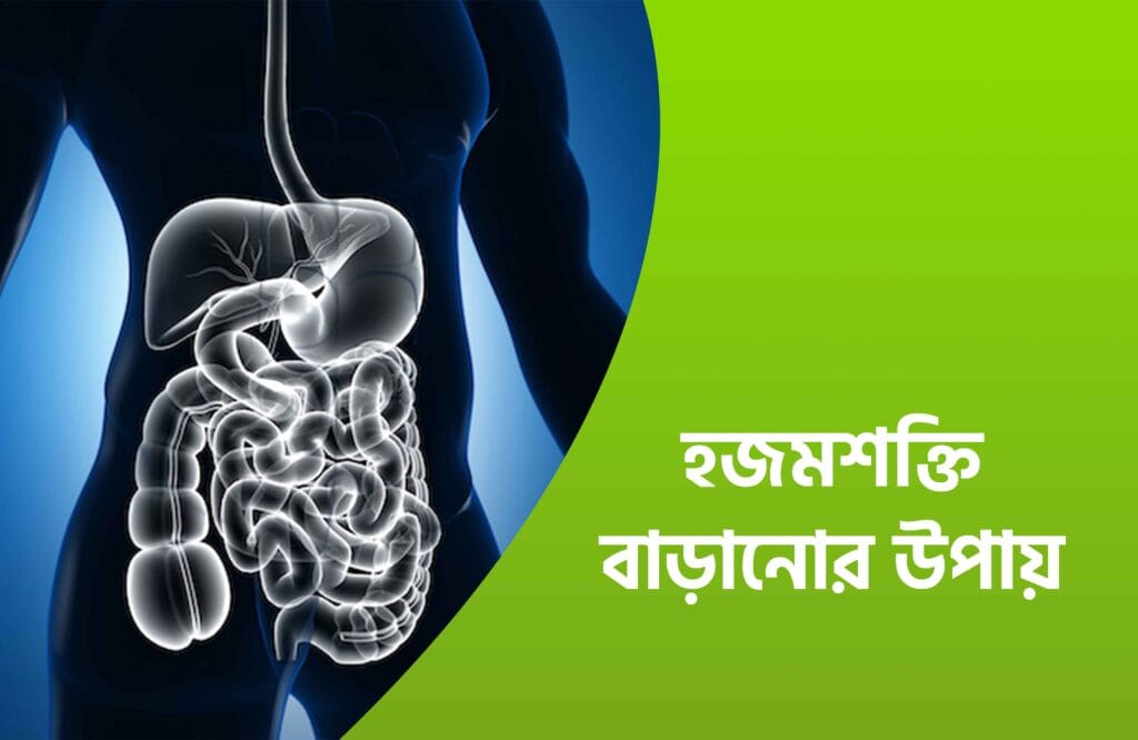 হজমশক্তি বাড়ানোর উপায়